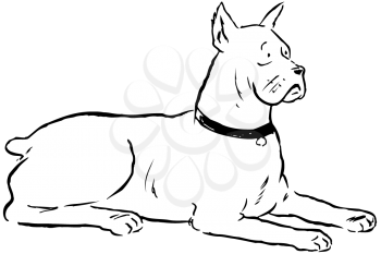 Royalty Free Clipart Image of a Mastiff