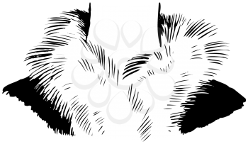 Royalty Free Clipart Image of a Neck and Feathered Boa