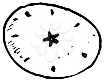 Royalty Free Clipart Image of a Sand Dollar