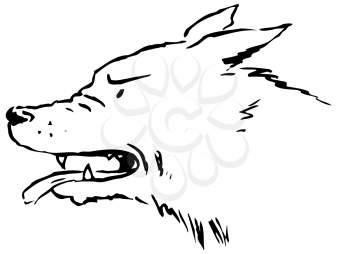 Royalty Free Clipart Image of a Snarling Wolf