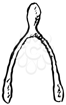 Royalty Free Clipart Image of a Wishbone
