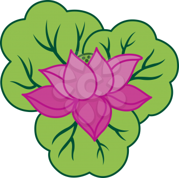Royalty Free Clipart Image of a Lily Pad