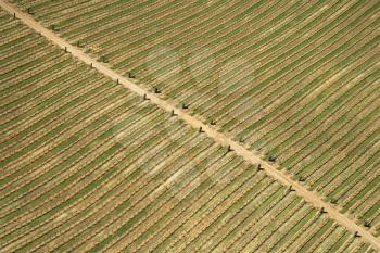 Royalty Free Photo of an Aerial of an Agricultural Farmland With a Dirt Road, USA