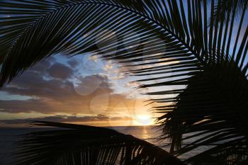 Royalty Free Photo of the Sunset Sky Framed by Palm Fronds Over the Pacific Ocean in Kihei, Maui, Hawaii, USA