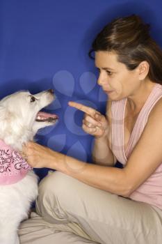Royalty Free Photo of a Woman Angry at a Dog