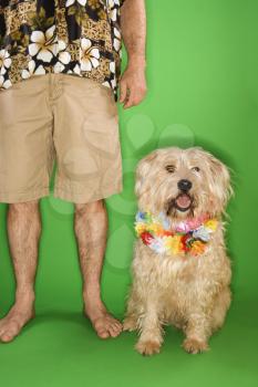 Royalty Free Photo of a Man Standing With a Dog Wearing a Lei