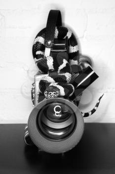 Royalty Free Photo of a California King Snake Wrapped Around an Old Movie Camera