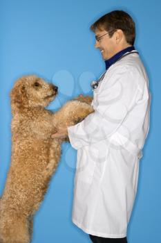Middle-aged Caucasian male  veterinarian with Goldendoodle dog.