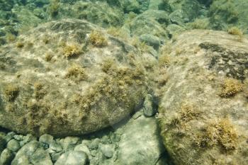 Royalty Free Photo of Rocks Underwater on the Bottom of the Ocean in Maui, Hawaii, USA