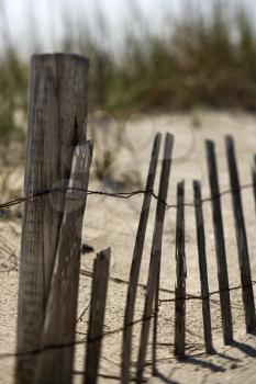 Royalty Free Photo of a Weathered fence on sand dune on Bald Head Island, North Carolina