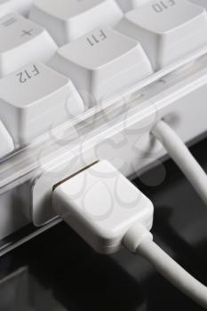 Royalty Free Photo of a Close-up of Cords Connected to a Computer Keyboard