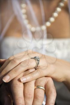 Royalty Free Photo of Male and Female Hands With Wedding Rings