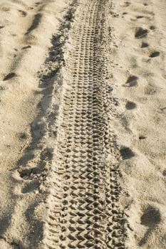 Royalty Free Photo of a Tire Track in the Sand