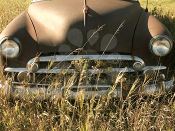 Royalty Free Photo of the Front End of an Old Abandoned Antique Car in a Field