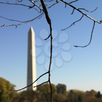 Royalty Free Photo of a Washington Monument in Washington, DC, USA