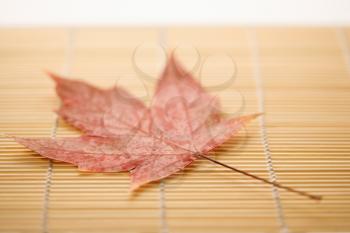 Royalty Free Photo of a Red Sugar Maple Leaf Resting on a Bamboo Mat