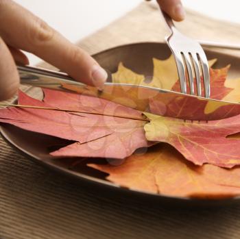 Royalty Free Photo of Someone Carving a Meal of Leaves Using a Knife and Dork