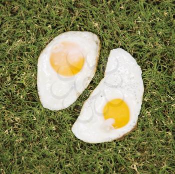Royalty Free Photo of Two Fried Eggs on Grass