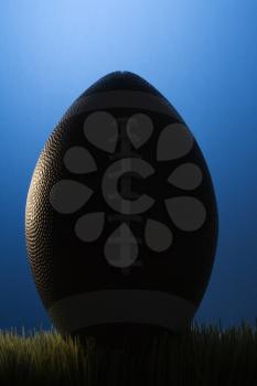 Royalty Free Photo of a Studio Shot of a Silhouette Football Resting in Grass