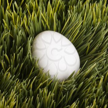 Royalty Free Photo of an Egg in Grass