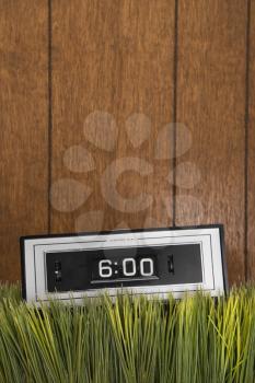 Royalty Free Photo of a Studio Shot of a Retro Alarm Clock Placed in Grass
