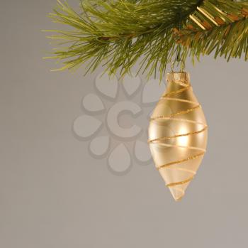 Royalty Free Photo of a Gold Ornament Hanging in a Christmas Tree