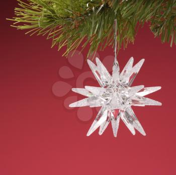 Royalty Free Photo of a Star-Shaped Christmas Ornament Hanging From a Pine Branch
