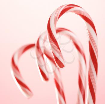 Royalty Free Photo of Candy Canes