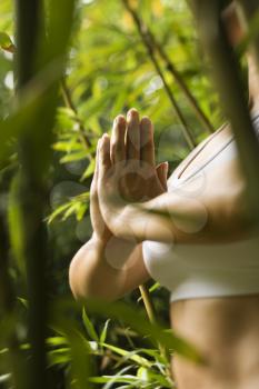 Royalty Free Photo of a Woman Standing in a Yoga Position in a Bamboo Forest in Maui, Hawaii