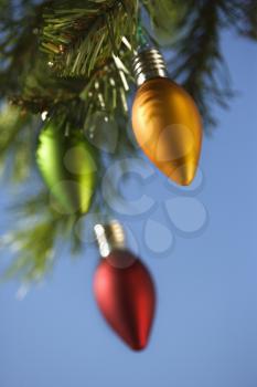 Royalty Free Photo of Christmas Ornaments Hanging From a Pine Branch 