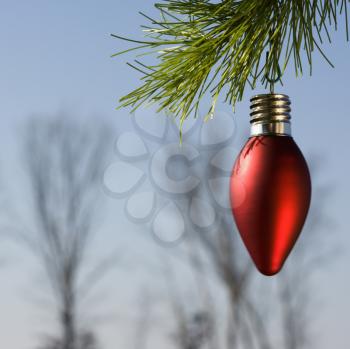 Royalty Free Photo of a Round Red Christmas Ornament Hanging From a Pine Branch With Winter Trees in the Background