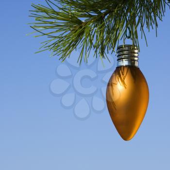 Royalty Free Photo of a Christmas Ornament Hanging From a Tree Branch