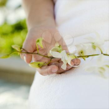 Royalty Free Photo of a Woman's Hand Holding White Orchids