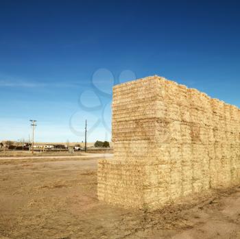Royalty Free Photo of Bales of Hay in a Rural Landscape