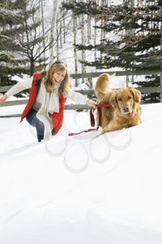 Royalty Free Photo of an Attractive Smiling Blond Woman Being Pulled Through the Snow by a Golden Retriever