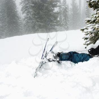 Royalty Free Photo of Skiers Lying in Snow Near a Tree after a Crash in the Fog