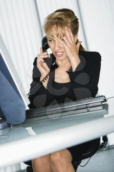 Royalty Free Photo of a Businesswoman at Computer Desk on the Telephone