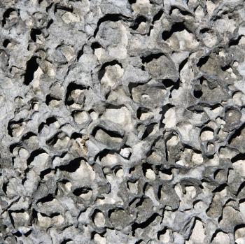 Royalty Free Photo of a Close-up of a Textured Rock With Seashell