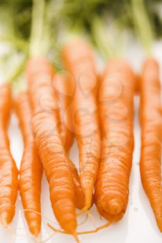 Royalty Free Photo of a Bunch of Carrots
