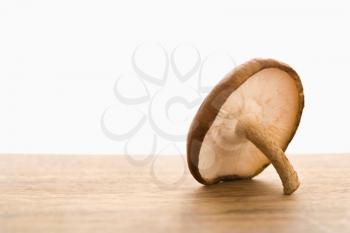 Royalty Free Photo of a Shiitake Mushroom