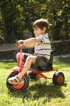Royalty Free Photo of a Boy Riding a Red Tricycle in Grass