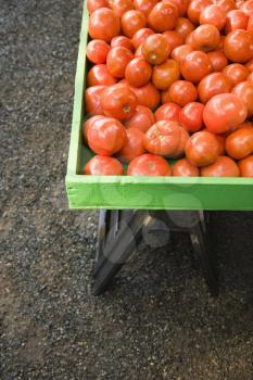 Royalty Free Photo of a Pile of Red Tomatoes at a Produce Market