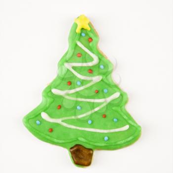 Christmas tree sugar cookie with decorative icing.