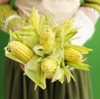 Royalty Free Photo of a Woman Holding a Bouquet of Ears of corn