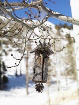 Royalty Free Photo of a Rustic Wooden Birdhouse With a Snowy Landscape in the Background