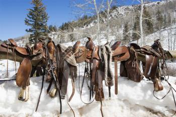 Four Western saddles sitting on a rail with a snowy landscape in the background. Horizontal shot.