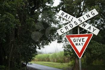 Railroad crossing sign near a rural road. Fog can be seen through a clearing in the distance. Horizontal shot.