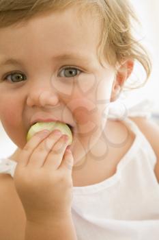 Royalty Free Photo of a Child Eating an Apple