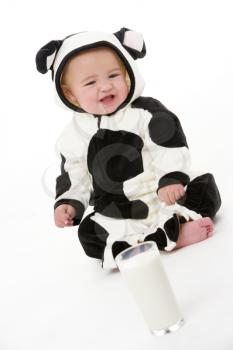 Royalty Free Photo of a Baby in a Cow Costume With Milk