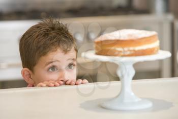 Royalty Free Photo of a Little Boy Looking at Cake